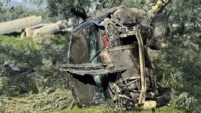 Zeytinliğe uçan otomobilin sürücüsü yaralanmadı