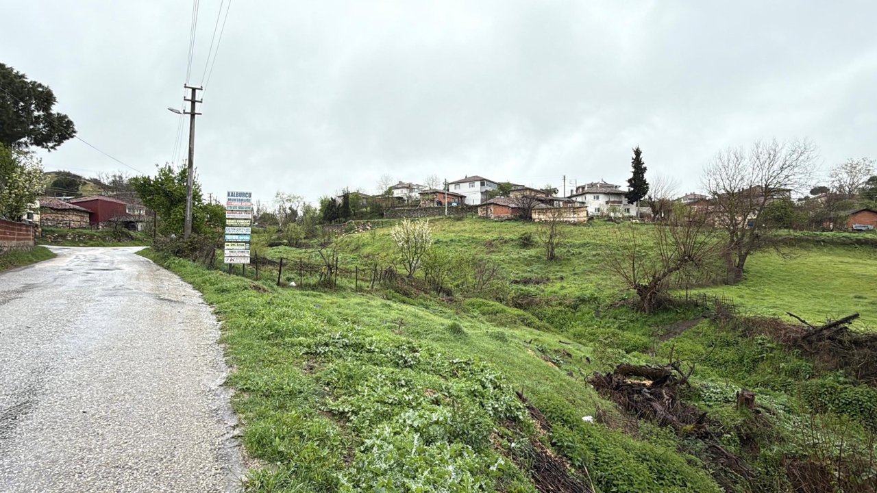 Çanakkale’nin 2 ilçesinde şap alarmı