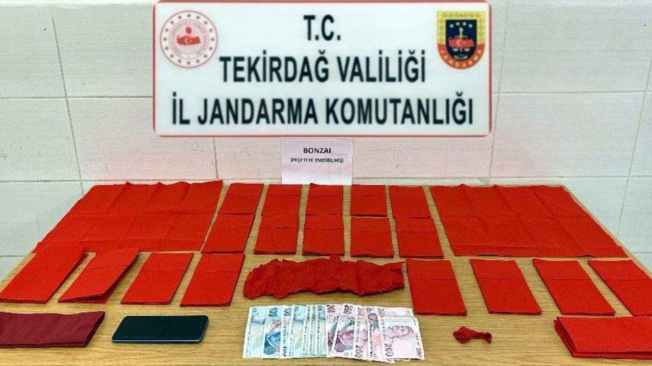 Jandarmanın yakaladığı uyuşturucu satıcısı tutuklandı