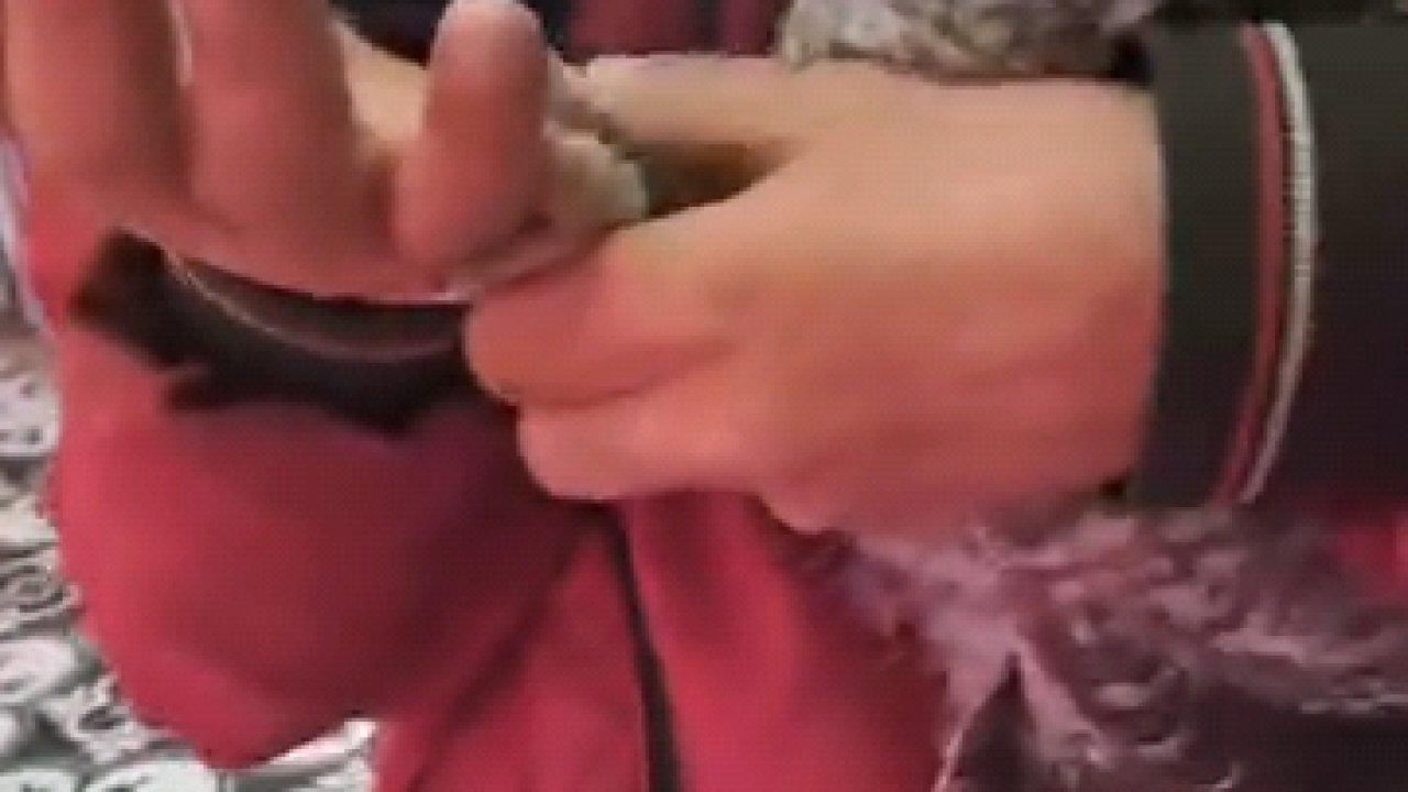 Yuvasından düşen yavru baykuşu kasaba götürüp etle beslediler