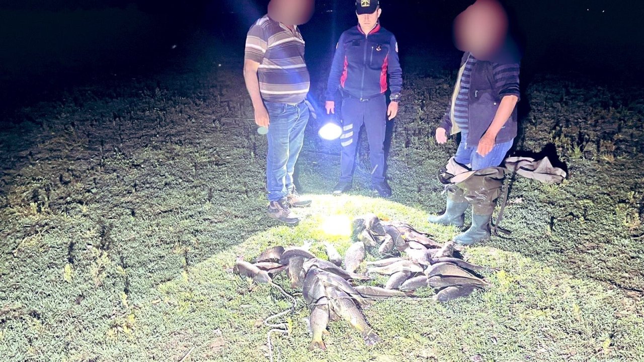 Uluabat Gölü'nde kaçak avcılara baskın; ele geçirilen 466 kilo canlı balık göle salındı