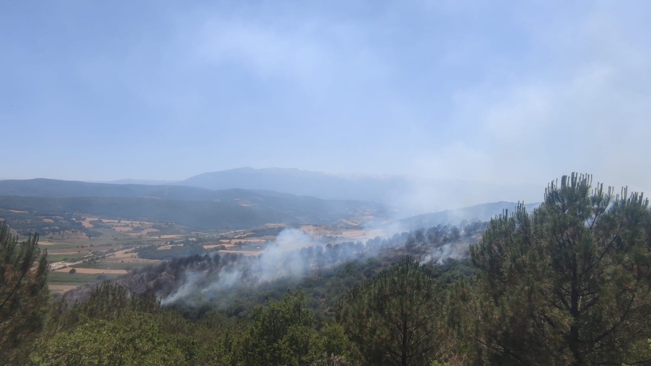 Bursa’da orman yangını