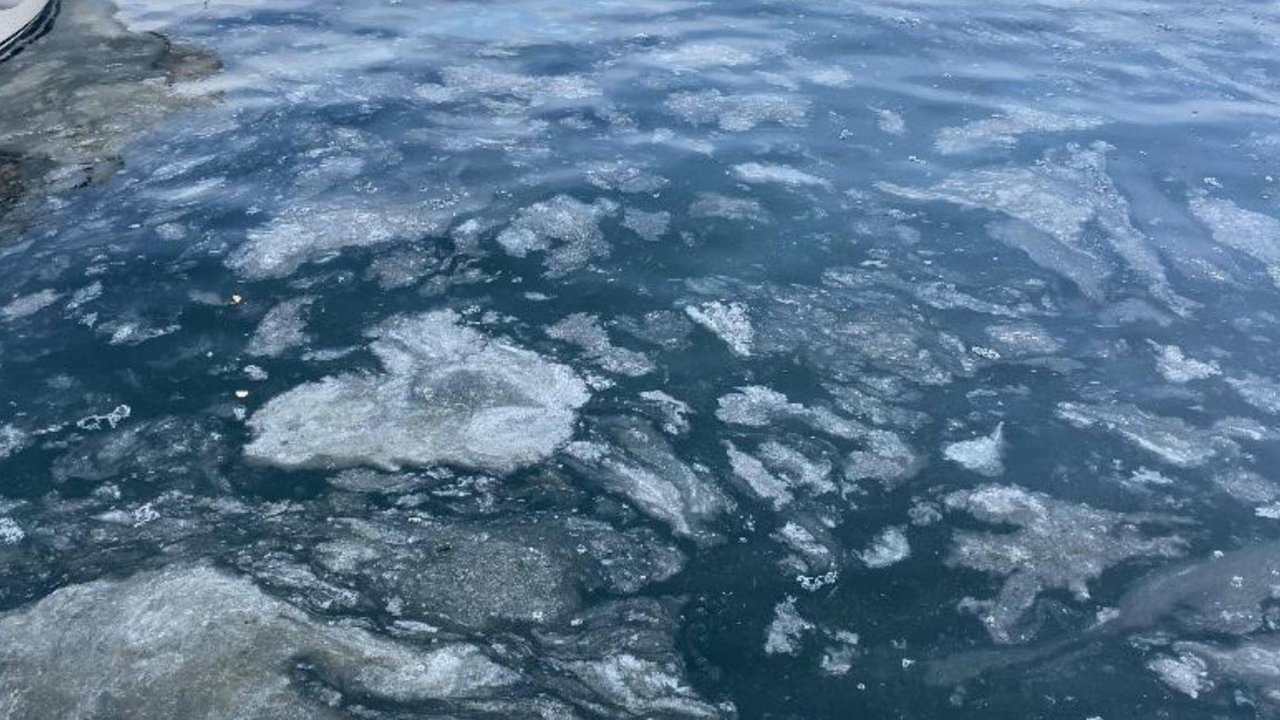 Çanakkale Boğazı'nda müsilaj etkisini kaybetti