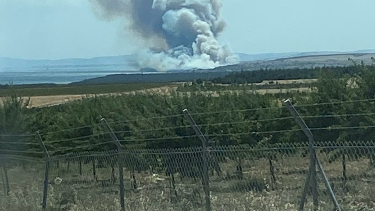 Çanakkale’de tarım arazisinde yangın