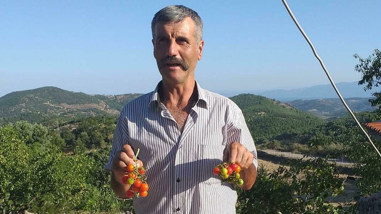 Ailesiyle gittiği piknikte kayboldu
