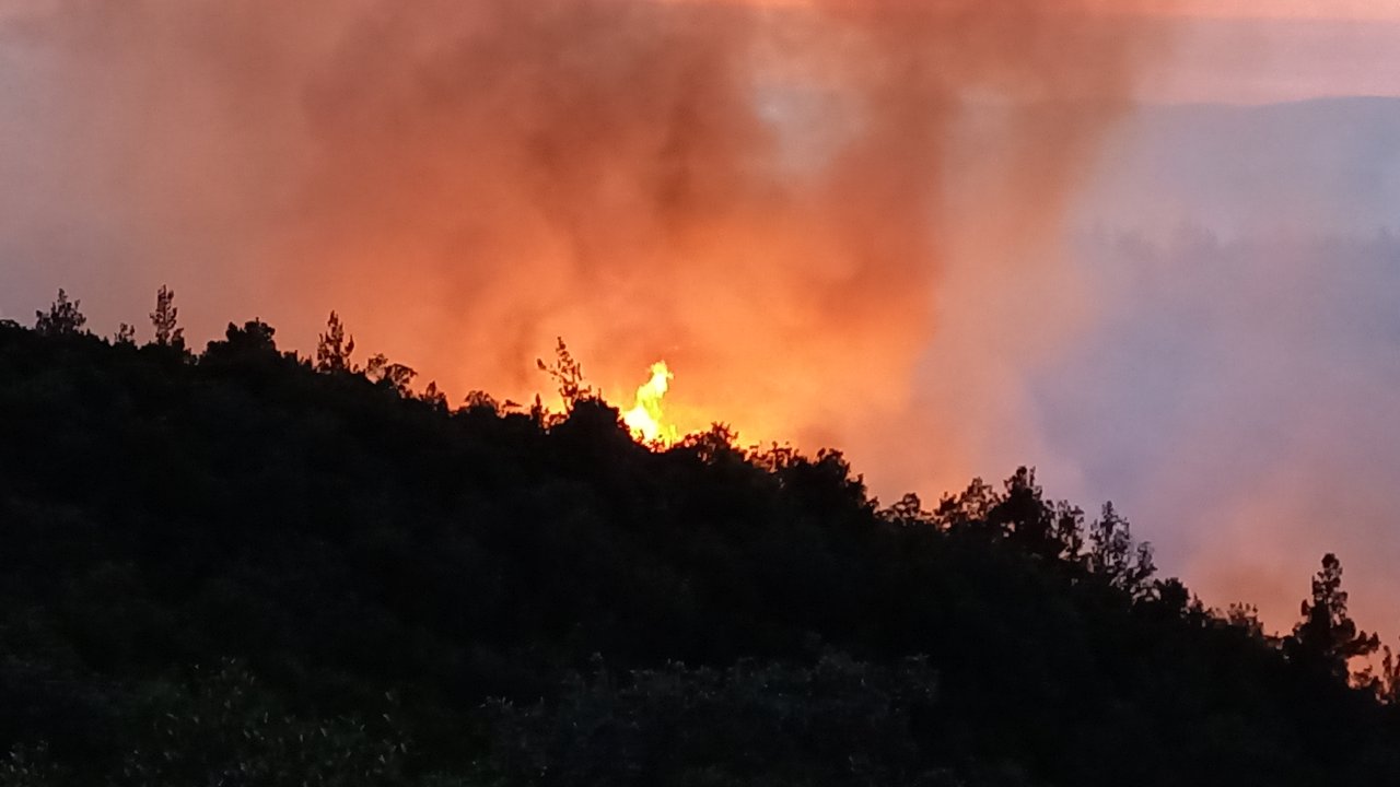 Balıkesir'de orman yangını