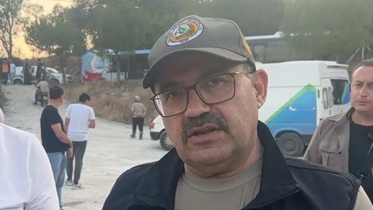 Balıkesir sınırında orman yangını