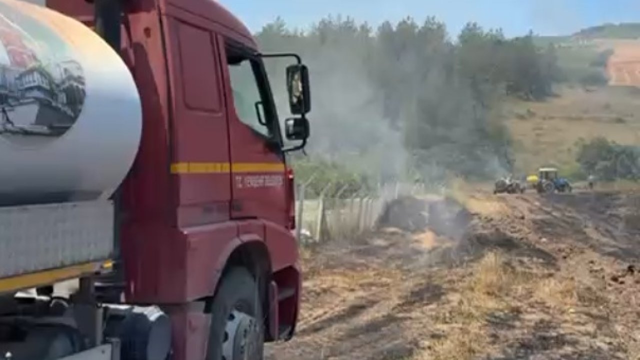Bursa'da anız yangını ormana sıçradı