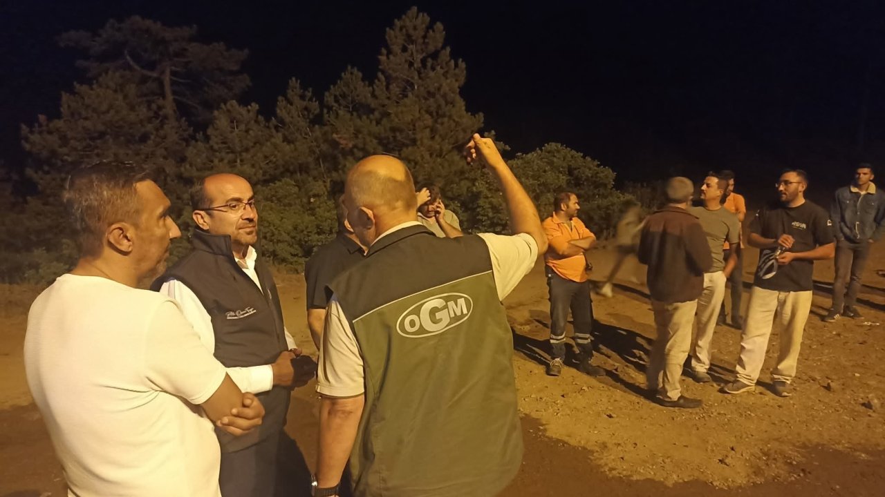 Bursa’da orman yangını