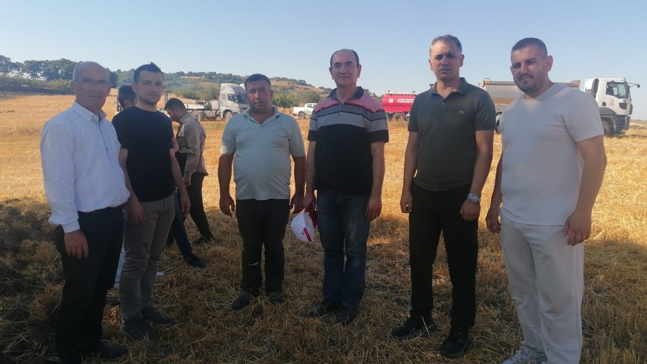 Manyas'ta orman yangını
