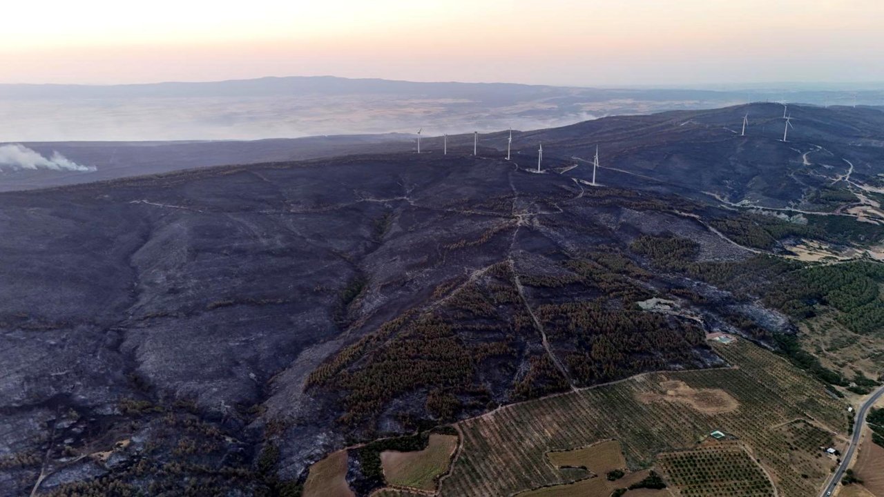 Tekirdağ’da orman yangınında 2’nci gün