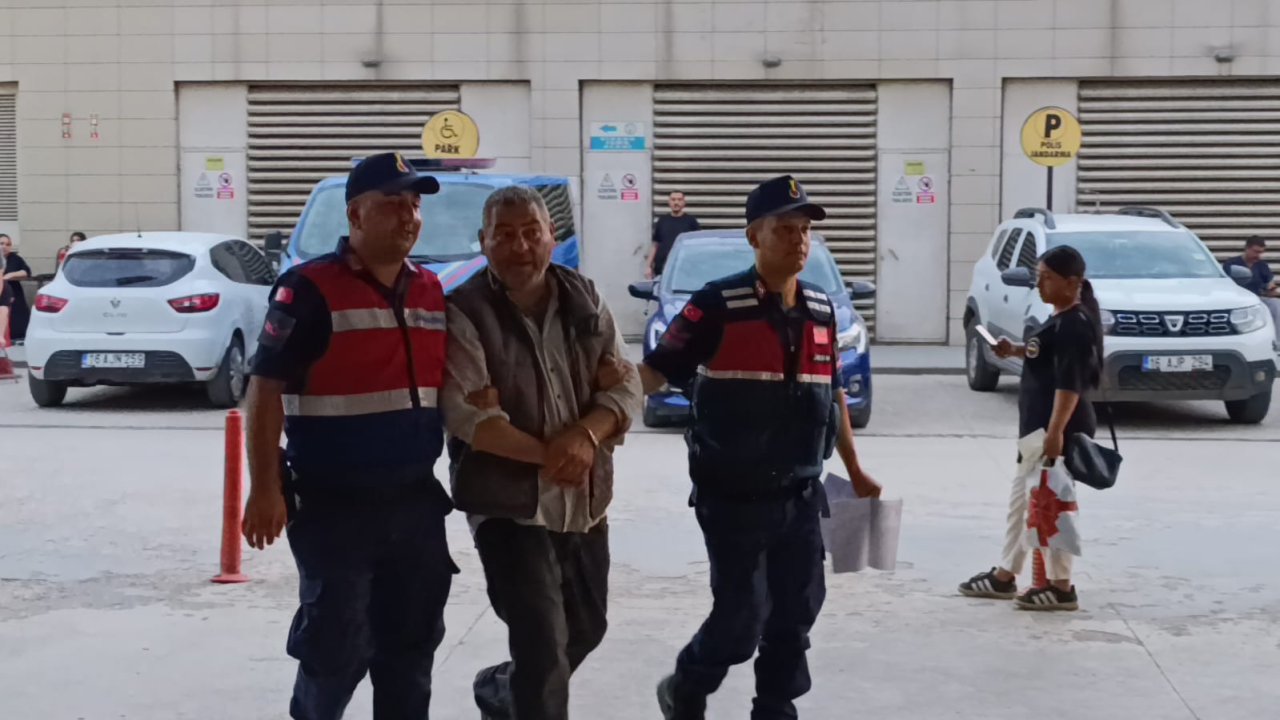 Evde kenevir yetiştiren 2 şüpheli tutuklandı