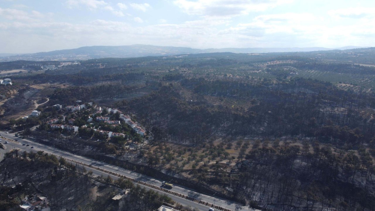 Ormanların yanması nedeniyle korunmasız hale gelen yaban hayvanları için av yasağı isteği