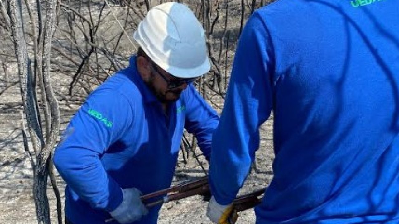UEDAŞ, orman yangınlarından etkilenen bölgelerdeki enerji hatlarını onarıyor