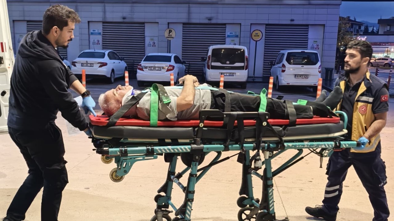 Bursa'da ağaçtan düşüp ağır yaralandı