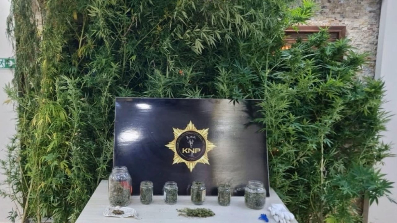 Kırklareli'de uyuşturucu yetiştirilen eve operasyonda 1 tutuklama