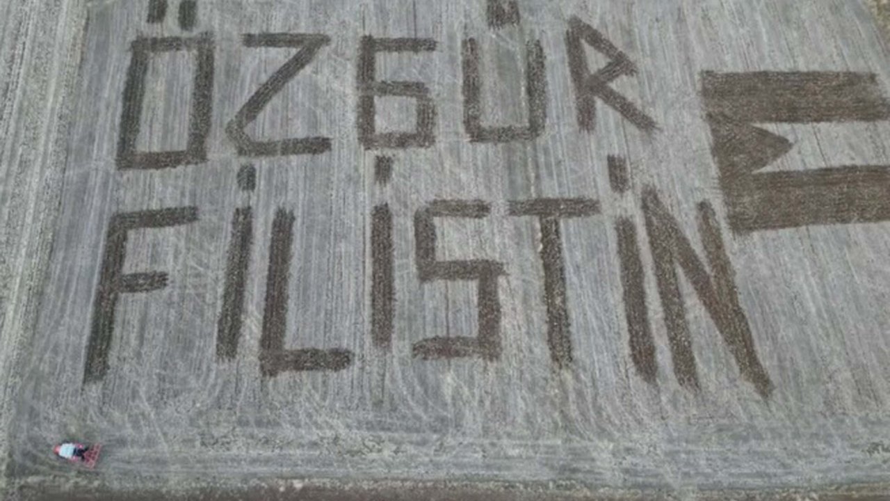 Traktör ile tarlalarına 'Özgür Filistin' yazdılar