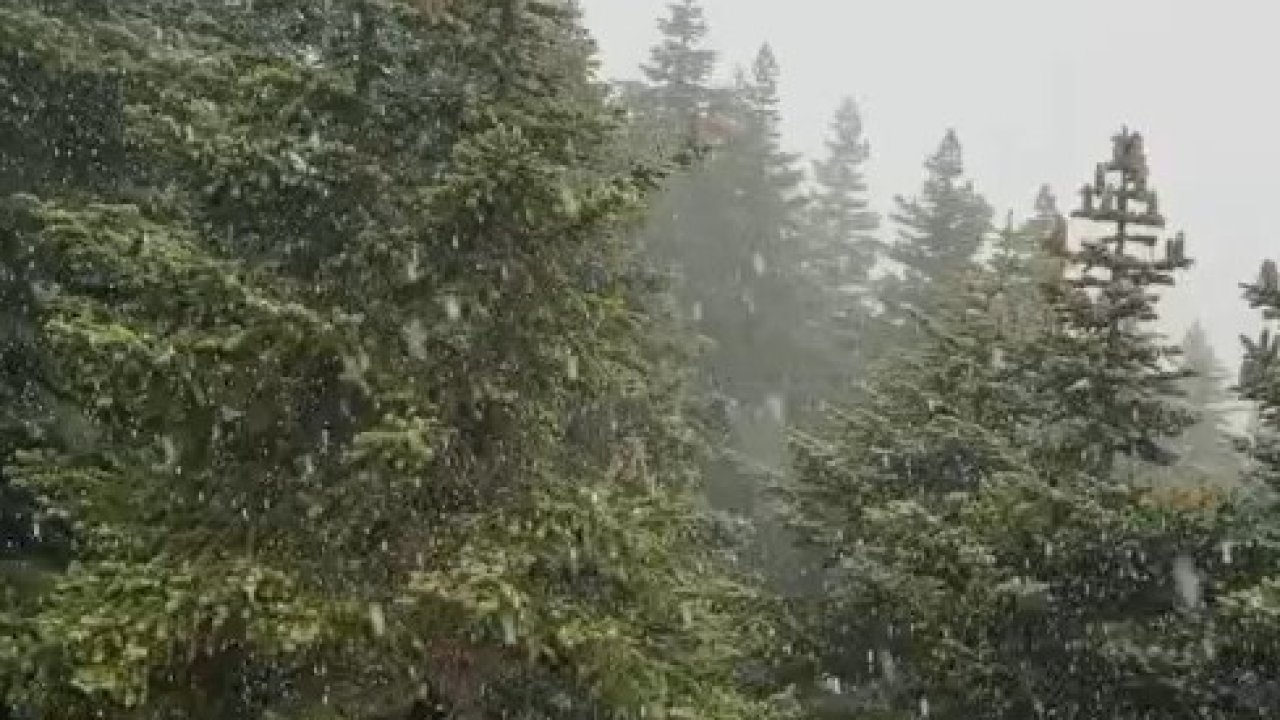 Uludağ'a kar yağdı