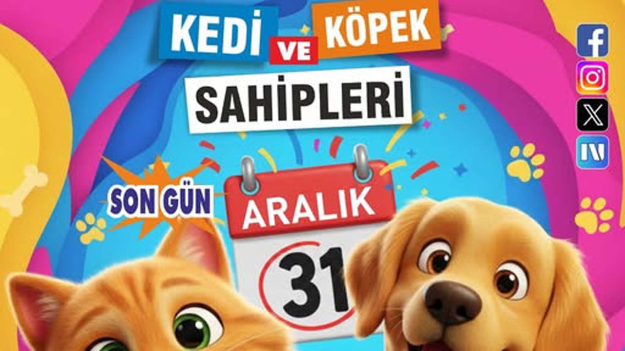Burhaniye'de kedi ve köpekler için mikroçip uyarısı