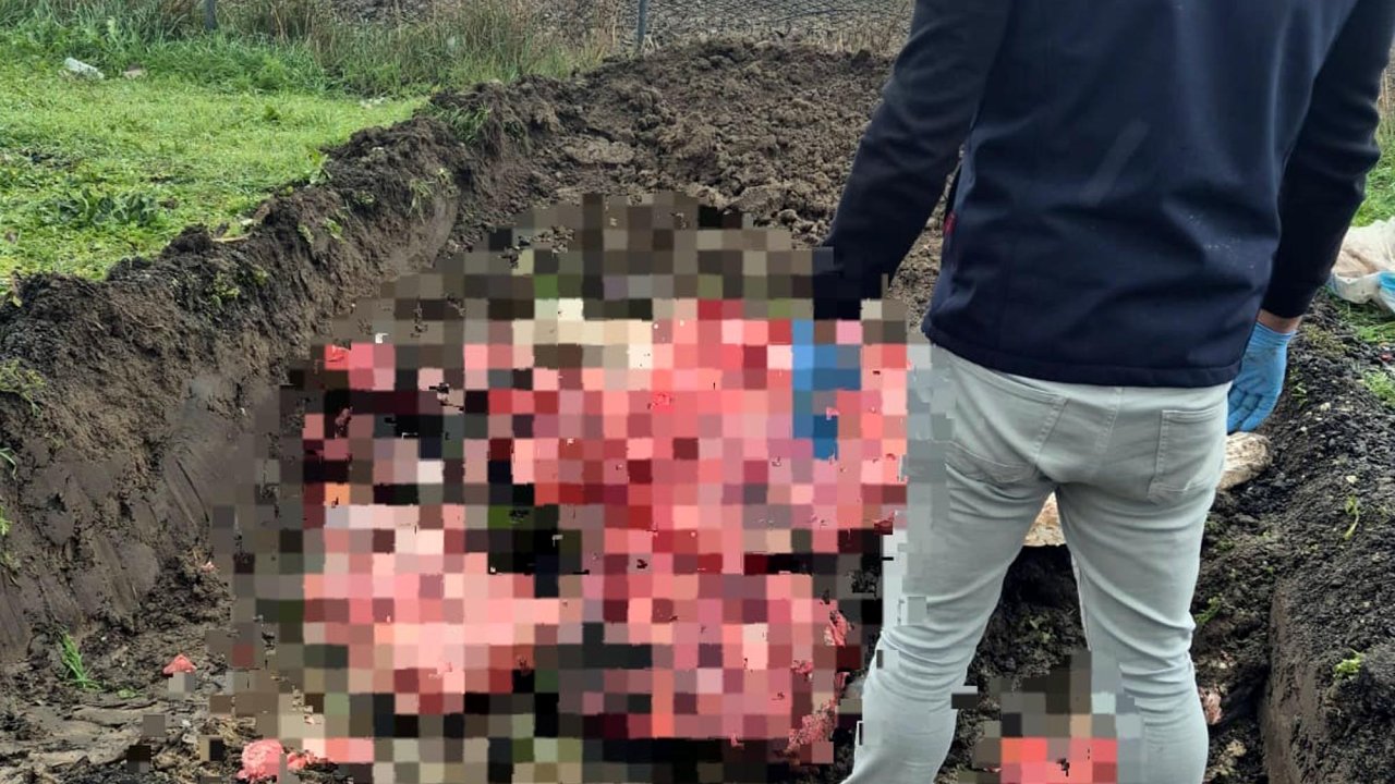 Tekirdağ'da menşei belli olmayan 1 ton hayvansal ürün imha edildi