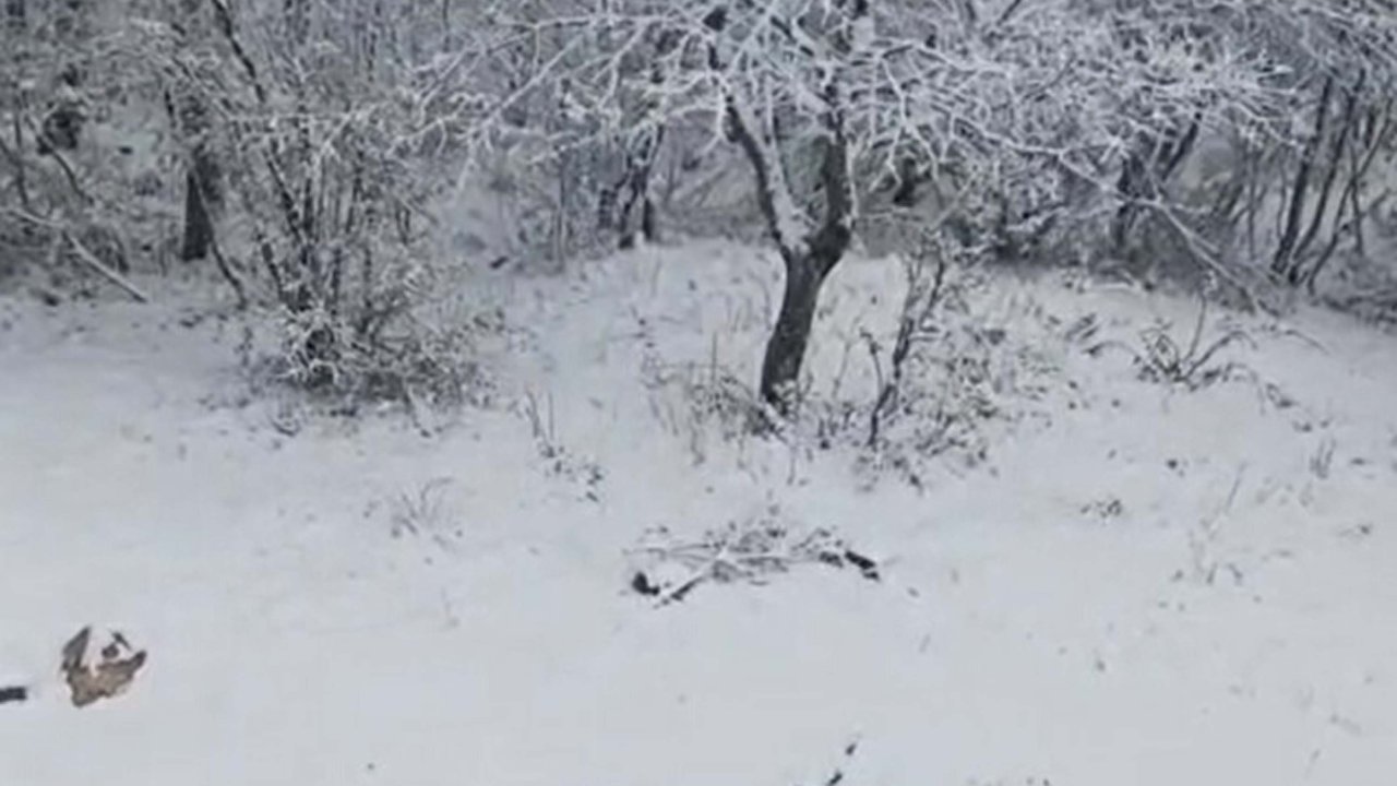 Çanakkale'nin yüksek kesimlerinde kar yağışı