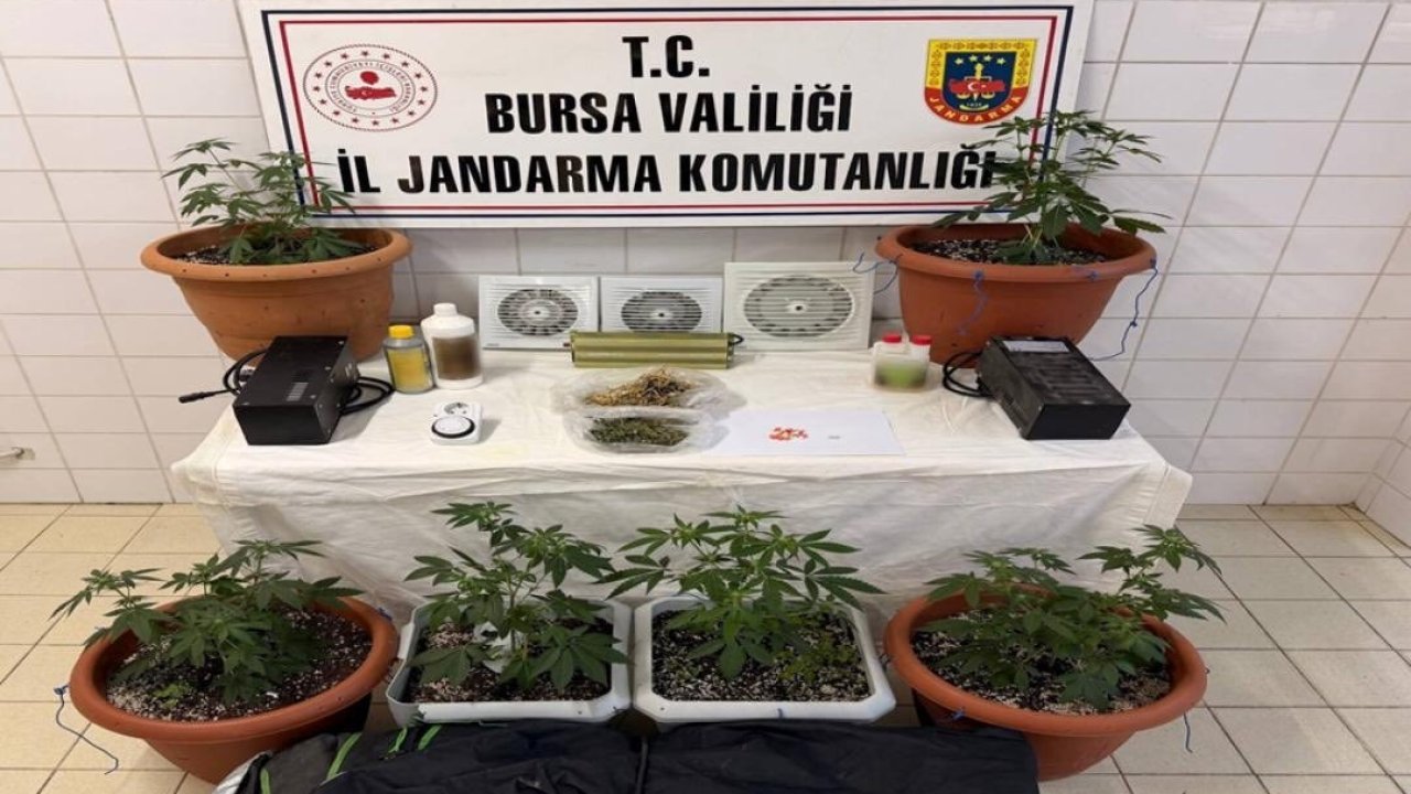 İklimlendirme sistemi kurulup, uyuşturucu üretilen eve operasyon; 1 tutuklama