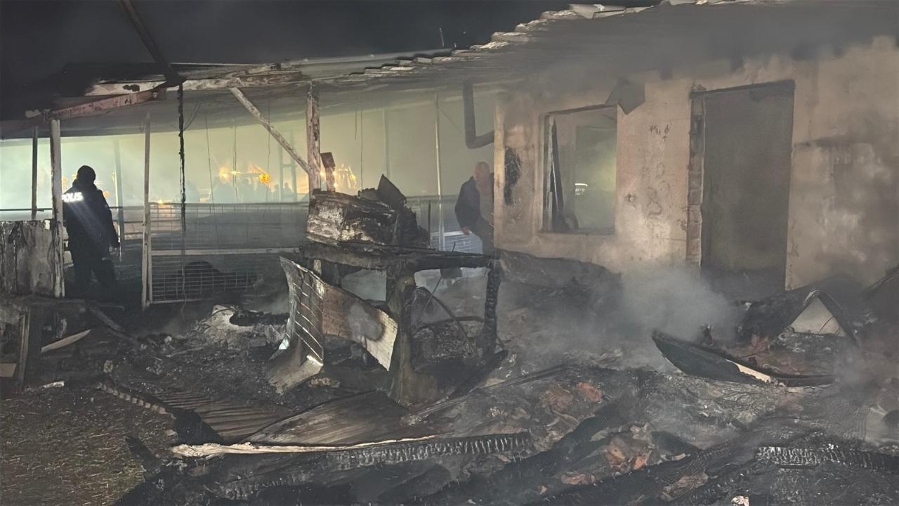 Tekirdağ'da çiftlik yangınında, 60 küçükbaş öldü