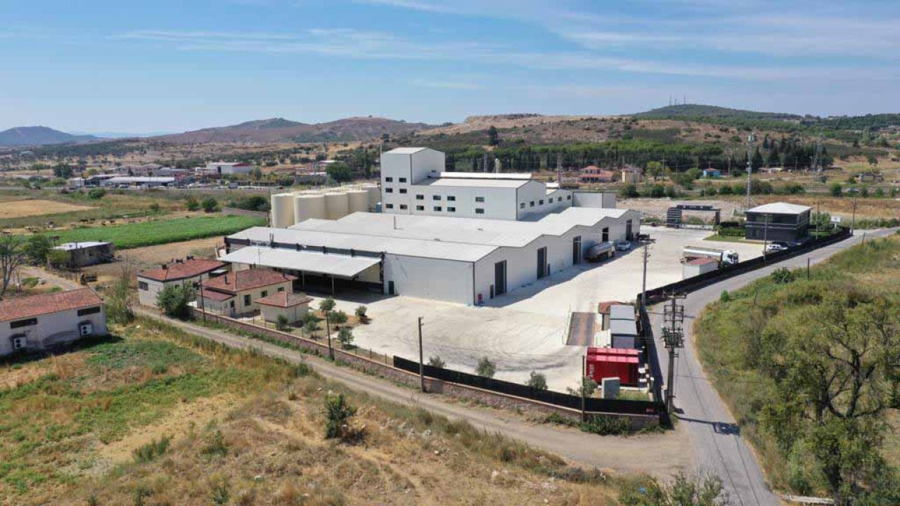 Ayvalık'tan çıkan zeytinyağı markası Aivalos'un yurt dışına açılma hedefi