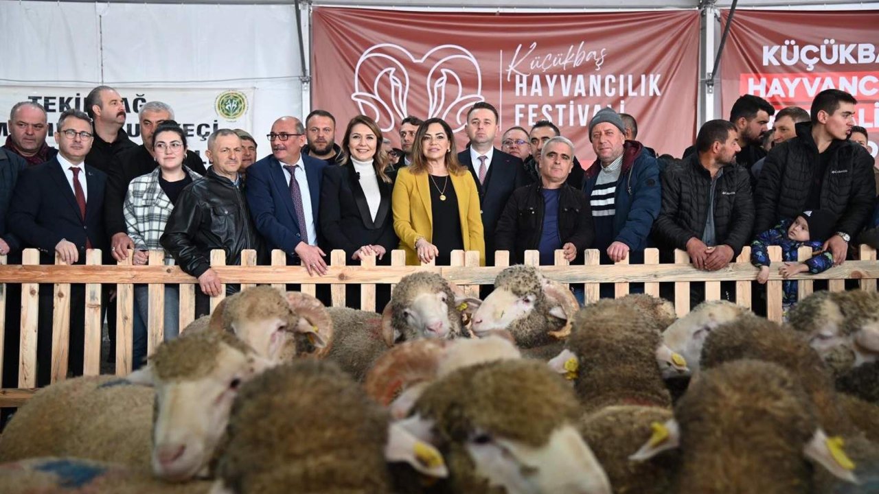Tekirdağ'da 'Küçükbaş Hayvancılık Festivali' başladı