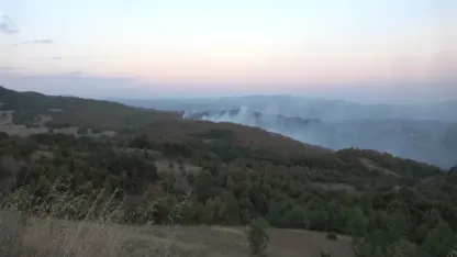 Kocaeli’de ormanlara giriş yasaklandı